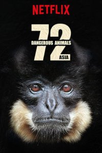 72 Dangerous Animals – Asia – S01E09 – Corner Me, I’ll Fight
