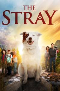 The Stray
