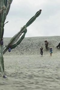 The New Legends of Monkey – S01E04 – The Monkey King Returns
