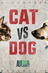 Cat Vs. Dog – S01E02 – I’m Afraid Of My Dog!