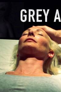 Grey Agenda