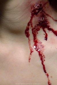 Blood + Roses