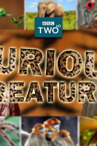 Curious Creatures – S01E10 – Episode #1.10