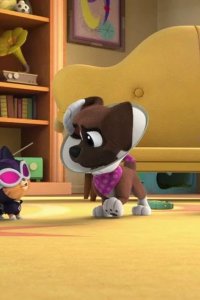 Puppy Dog Pals – S05E07 – Buster Bluster/Runaway Runway
