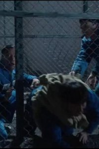 Pigoin – S01E12 – Episode #1.12
