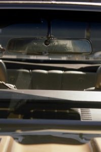 Animal Kingdom – S05E12 – Loose Ends