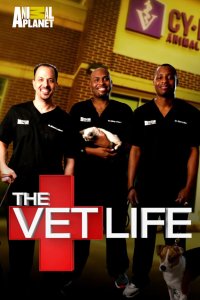 The Vet Life – S01E02 – Turnin’ Texan