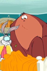 New Looney Tunes – S01E04 – The Bigfoot in Bed/World Wide Wabbit