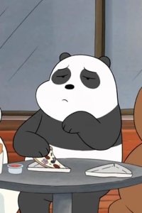 We Bare Bears – S01E16 – Panda’s Sneeze