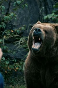 In an Instant – S01E03 – Grizzly Bear Attack