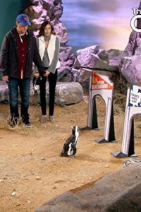 The Odd Couple – S03E11 – Batman vs. The Penguin