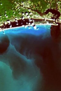 What on Earth? – S07E04 – Curse of Phantom Island