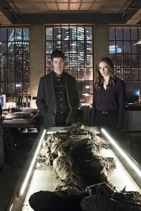 The Flash – S01E19 – Who Is Harrison Wells?