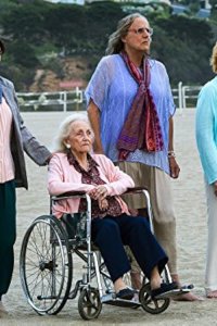 Transparent – S02E10 – Grey Green Brown & Copper