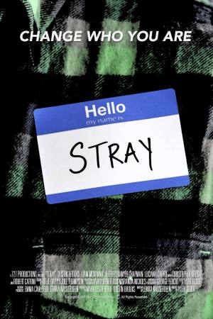 Stray
