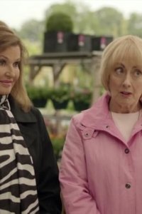 Boomers – S01E04 – Joyce’s Retirement Party