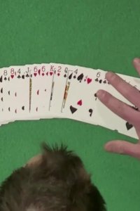 Masters of Illusion – S05E04 – Fast Hands, Classic Tricks, New Twists