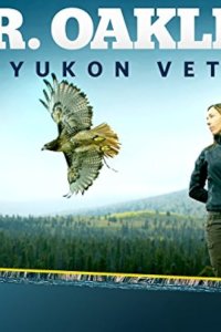 Dr. Oakley, Yukon Vet – S02E09 – Moose on the Loose