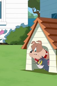 The Tom and Jerry Show – S04E30 – My Buddy Guard