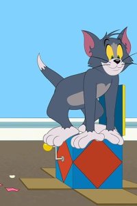 The Tom and Jerry Show – S04E49 – Curiosity Thrilled the Cat