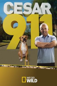 Cesar 911 – S03E07 – Pitbulls on Parole