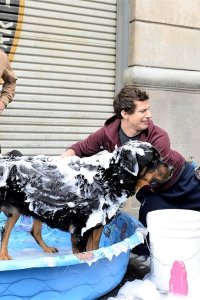 Brooklyn Nine-Nine – S02E13 – Payback