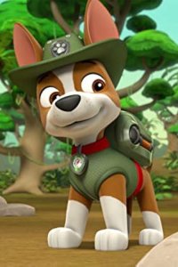 PAW Patrol – S04E20 – Pups Save the Mail/Pups Save a Frog Mayor