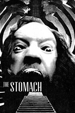 The Stomach