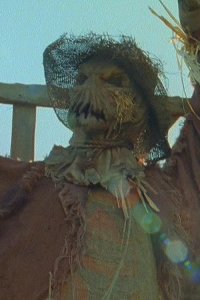 Goosebumps – S02E14 – Scarecrow Walks at Midnight