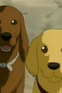 Detective Conan – S17E10 – The Famous Dog’s Cool Achievement