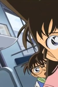 Detective Conan – S29E17 – Friend of Justice