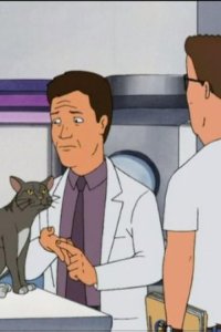 King of the Hill – S09E06 – The Petriot Act