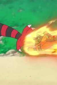 Poketto monsutâ – S21E20 – Blaze, Nyabby! Overthrow Gaogaen!!
