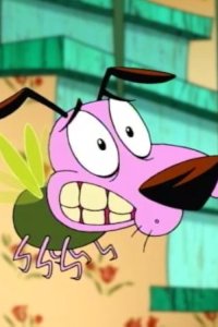 Courage the Cowardly Dog – S02E06 – Courage the Fly/Katz Kandy