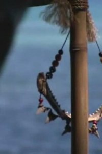 Survivor – S10E01 – This Has Never Happened Before!