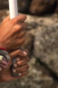 Survivor – S23E03 – Reap What You Sow