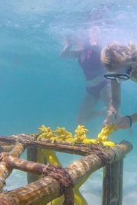 Survivor – S27E06 – One-Man Wrecking Ball