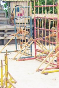 Survivor – S27E13 – Out on a Limb
