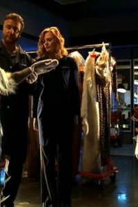 CSI: Crime Scene Investigation – S04E05 – Fur and Loathing