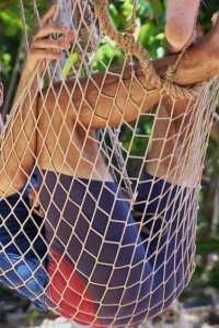 Survivor – S37E09 – Breadth-First Search