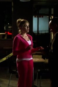 CSI: Crime Scene Investigation – S09E13 – Deep Fried and Minty Fresh