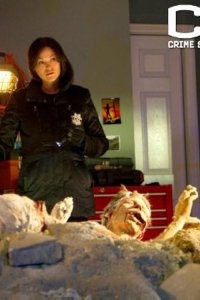 CSI: Crime Scene Investigation – S14E14 – De Los Muertos