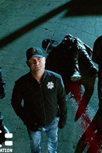 CSI: Crime Scene Investigation – S15E11 – Angle of Attack