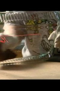 How It’s Made – S07E06 – Glass Cookware/Soap Bars/Steel Drums/Firefighter Uniforms