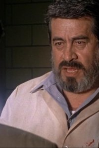 Monk – S02E02 – Mr. Monk Goes to Mexico