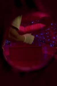 CSI: Miami – S01E16 – Evidence of Things Unseen