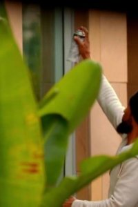 CSI: Miami – S10E12 – Friendly Fire