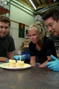 MythBusters – S07E23 – Mini Myth Mayhem