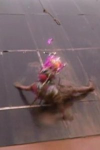 Most Extreme Elimination Challenge – S04E12 – Chick Flicks vs. Tough Guys