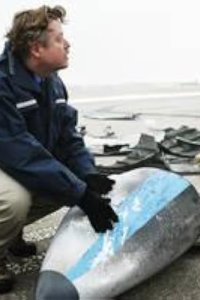 Air Crash Investigation – S15E01 – Fatal Transmission